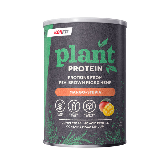 Растительный протеин ICONFIT (480 г)